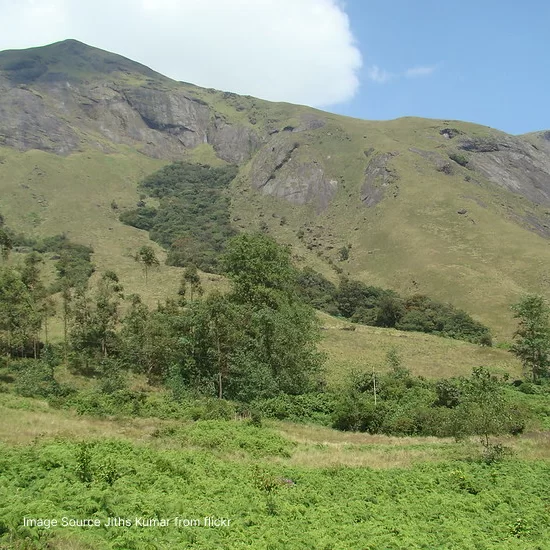 Anamudi Peak