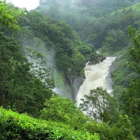 Attukal Waterfalls