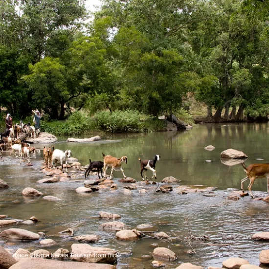 Chinnar Wildlife Sanctuary