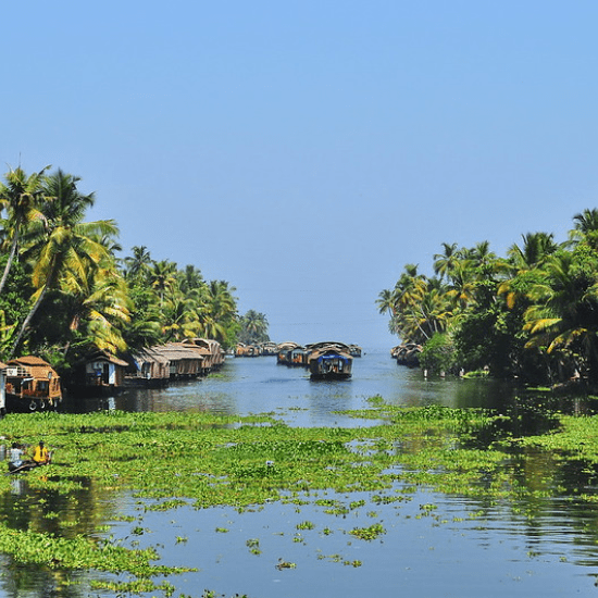 Kuttanad