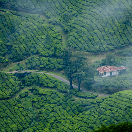 Munnar Tourist Places