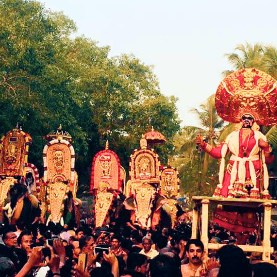 Kattakampal Pooram